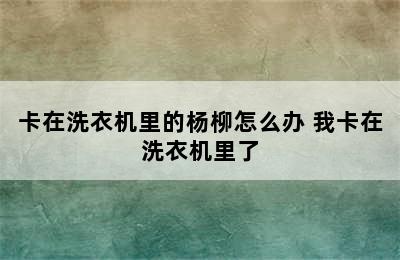 卡在洗衣机里的杨柳怎么办 我卡在洗衣机里了